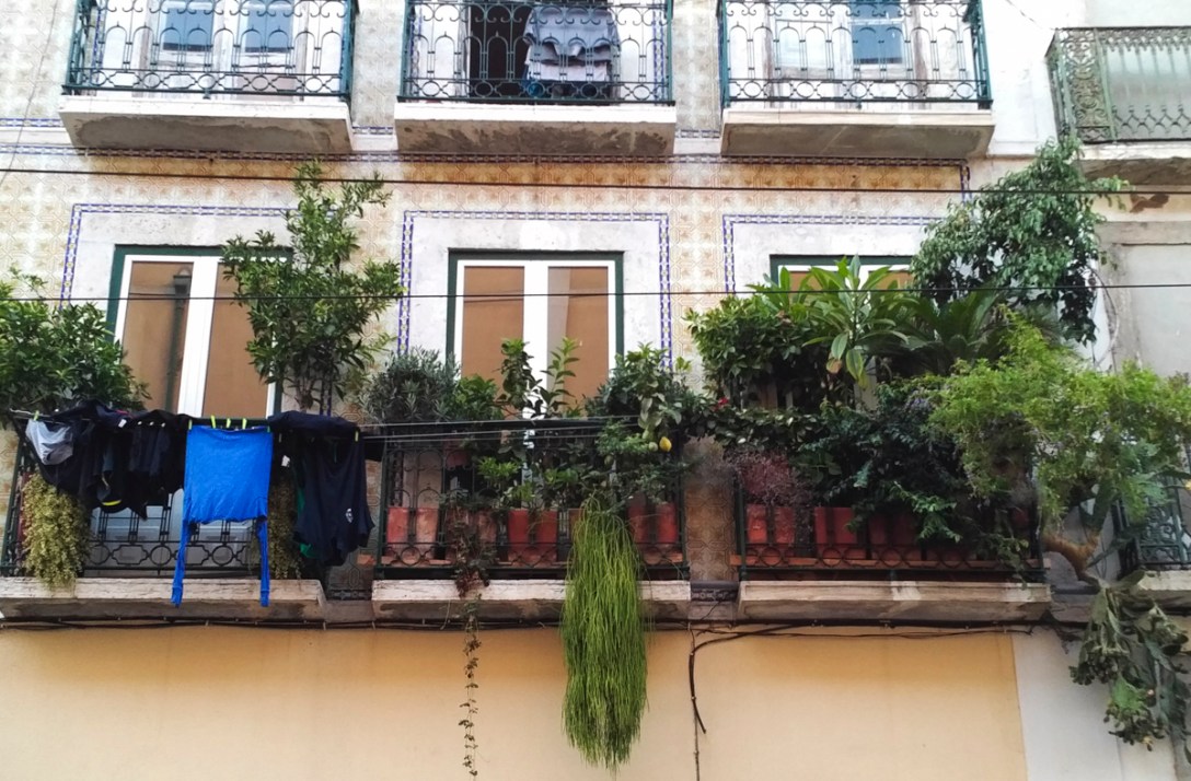 img_20160926_1854303