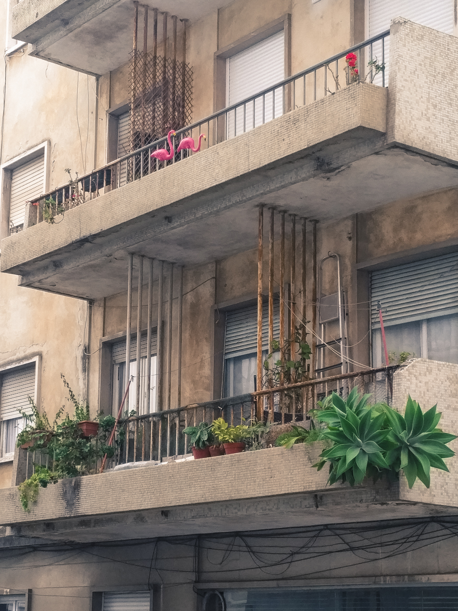 img_20161010_1008109