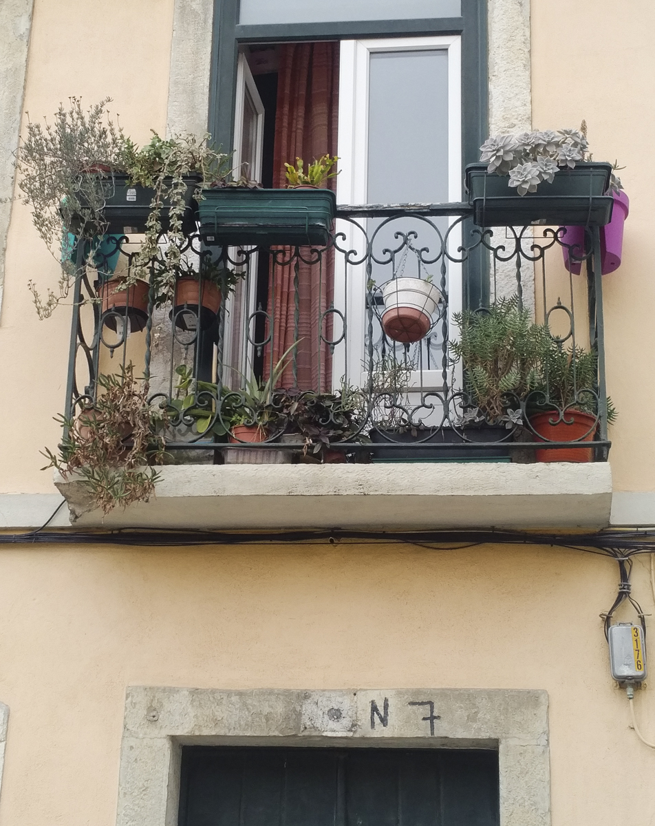 img_20161010_1046269