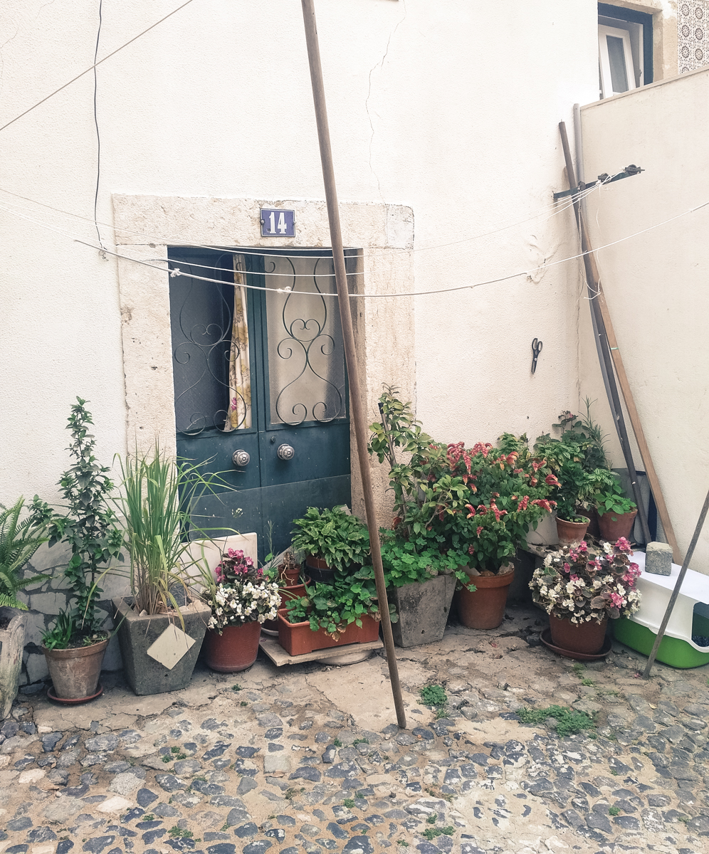 img_20161011_1211050