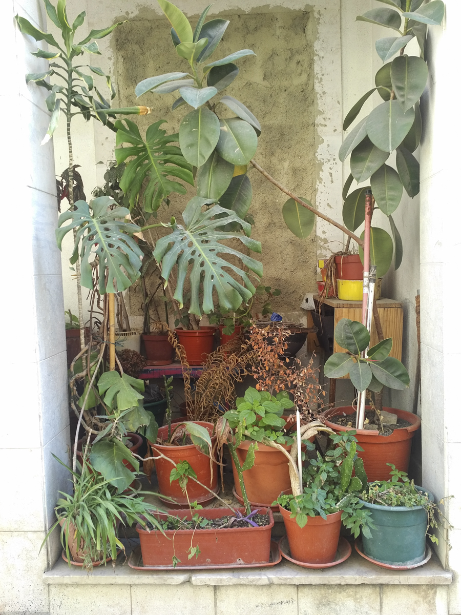 img_20161123_1335031