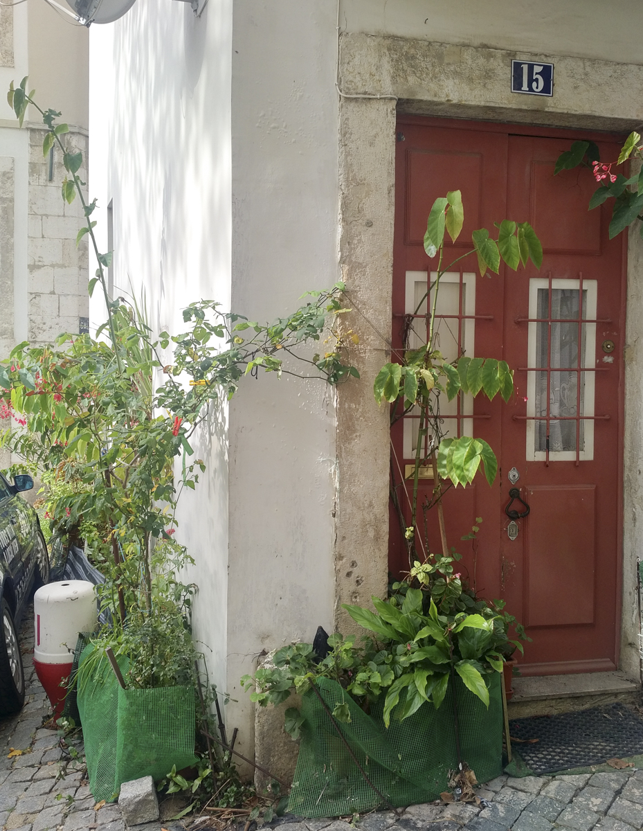 img_20161207_1213306