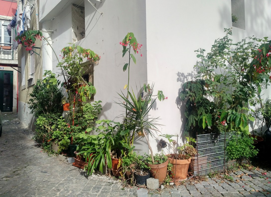 img_20161207_1214544