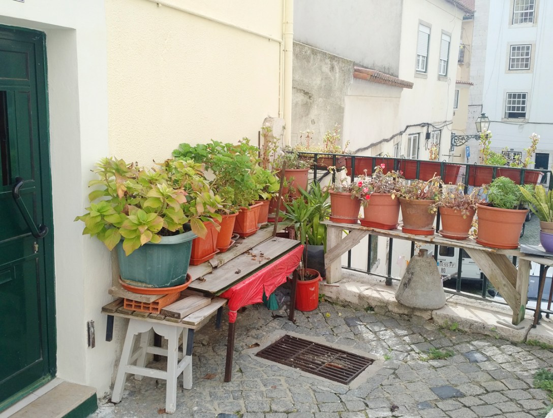 img_20161207_1222538