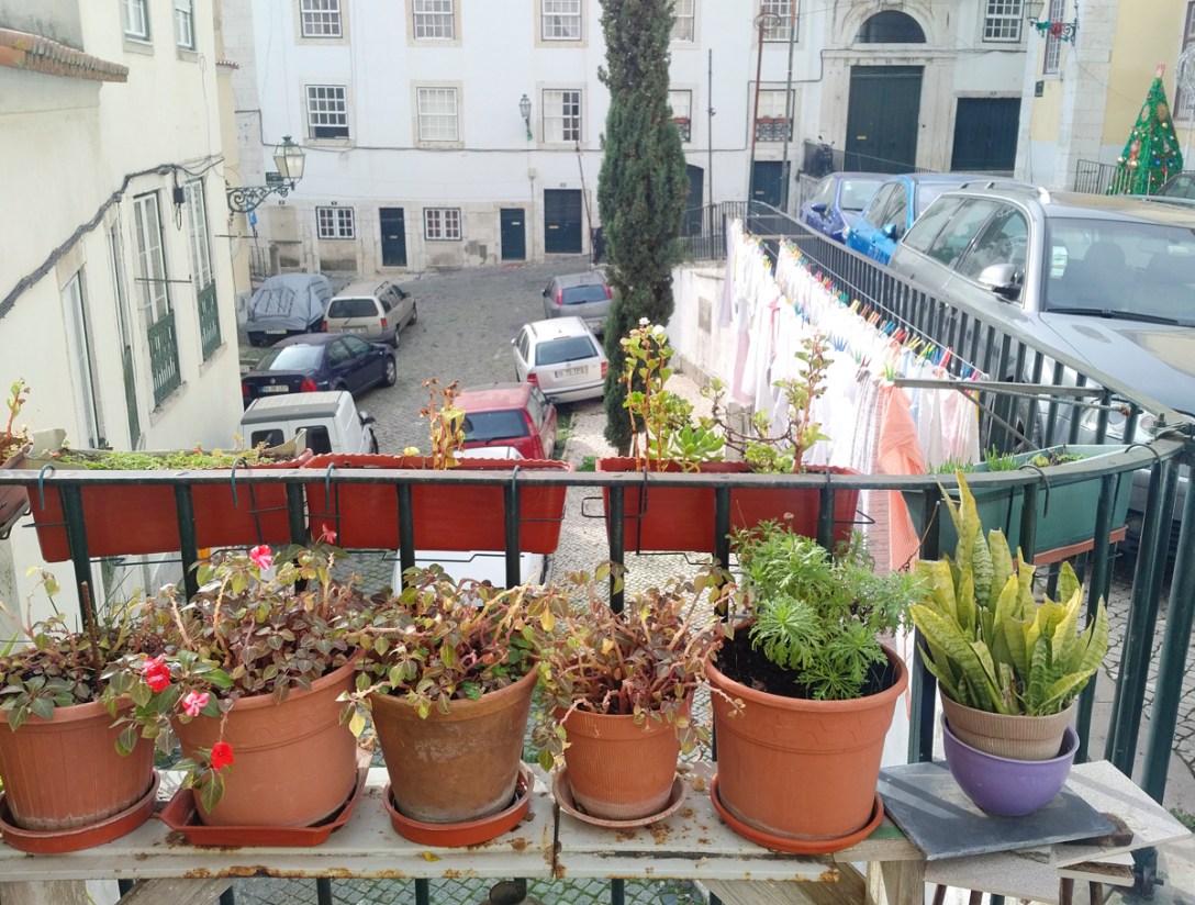 img_20161207_1223271