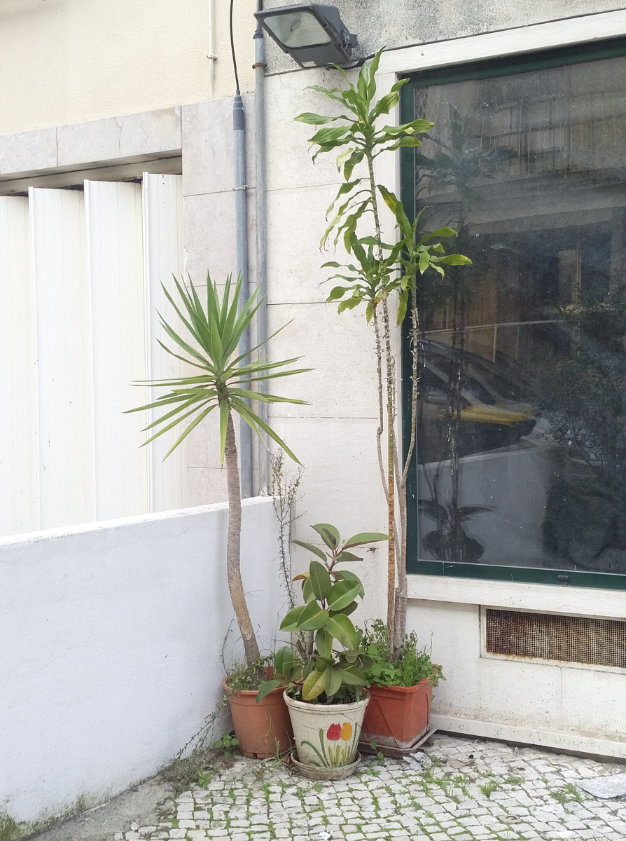 img_20161213_1317386