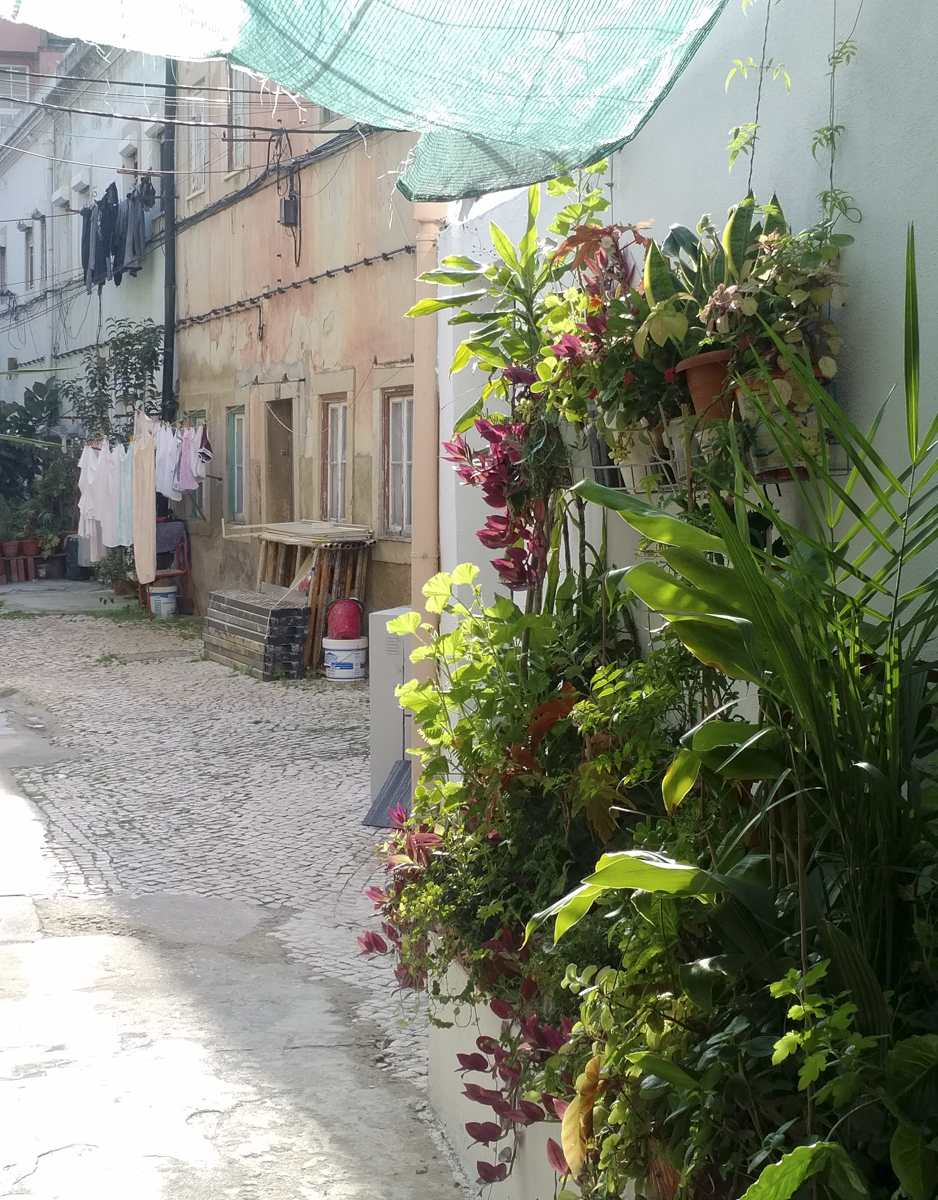 img_20161213_1328443