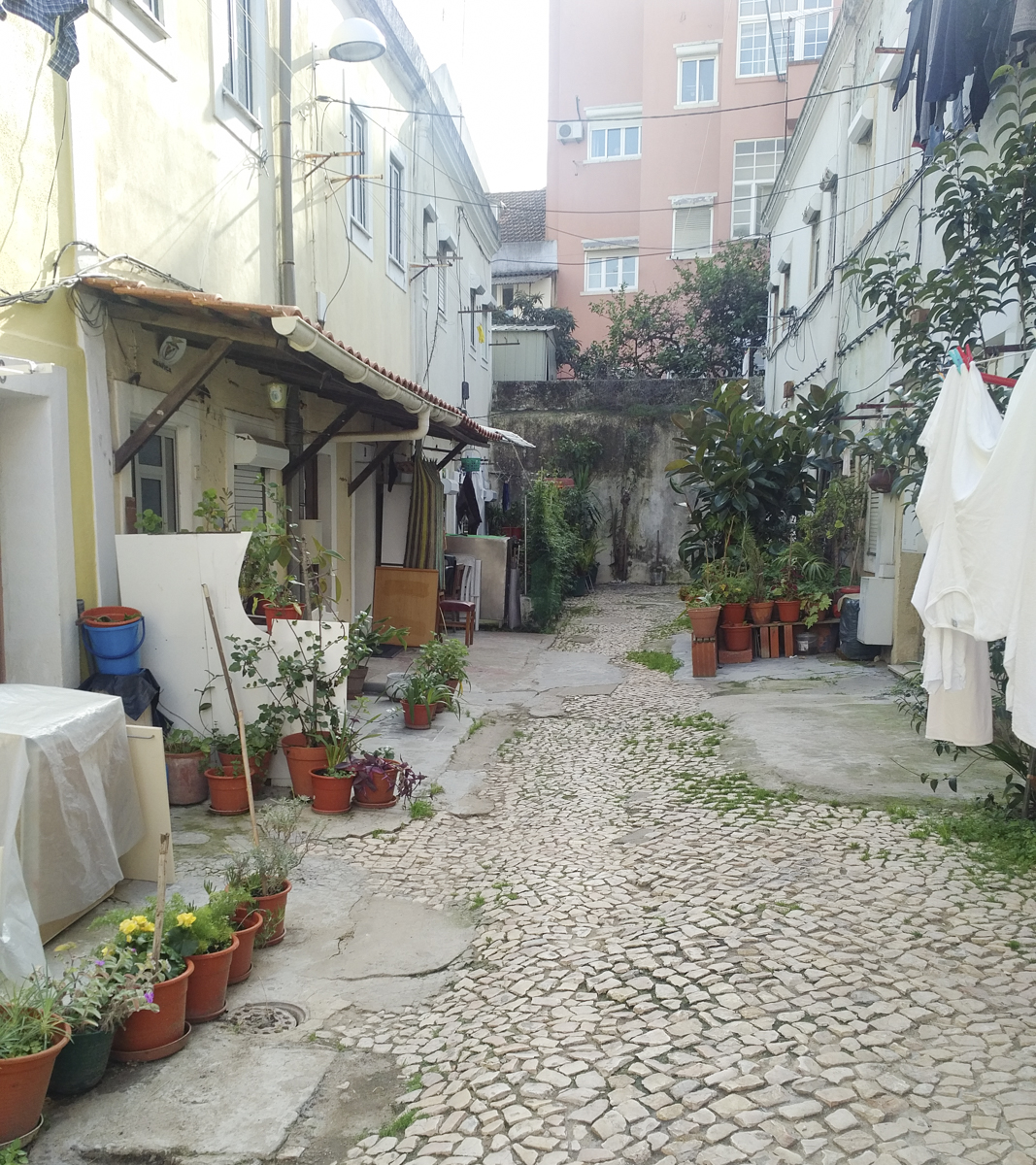 img_20161213_1329240