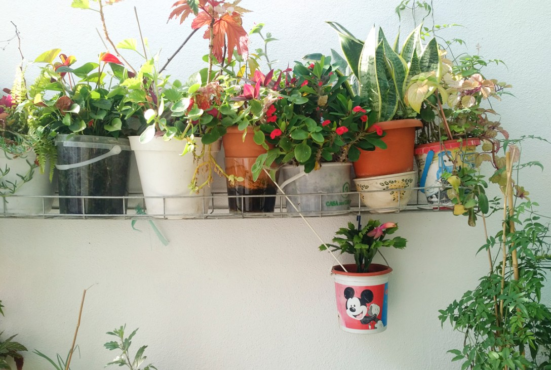 img_20161213_1330013