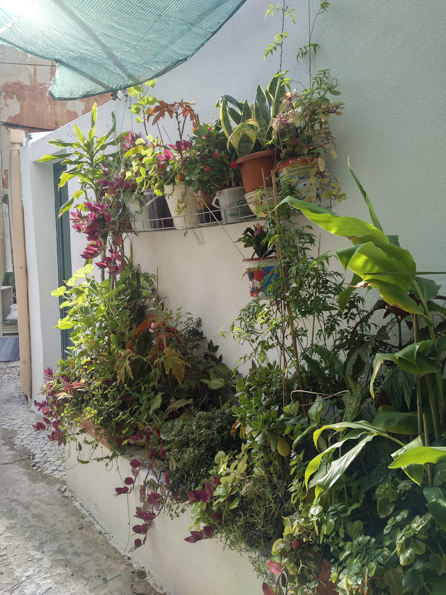 img_20161213_1330170